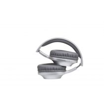Panasonic BT slušalke RB-HX220BDES