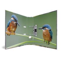 Herma registrator Animals, A4, 70 mm, ptice